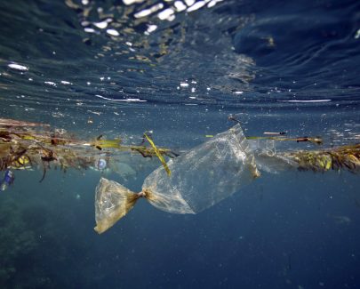 The risks and opportunities of the circular economy