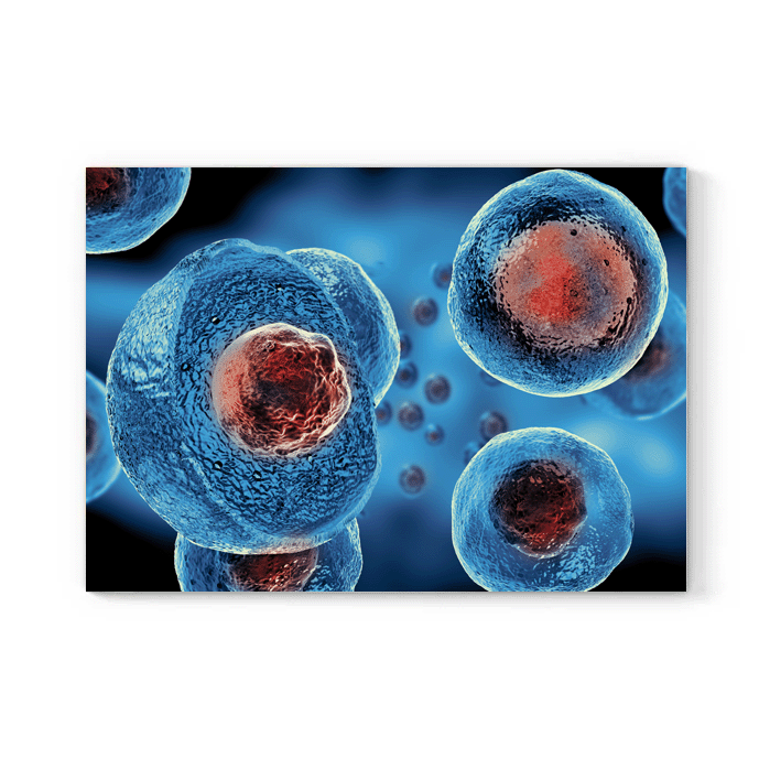 Bioprocessing-White-background-image-for-Diagnostics-page