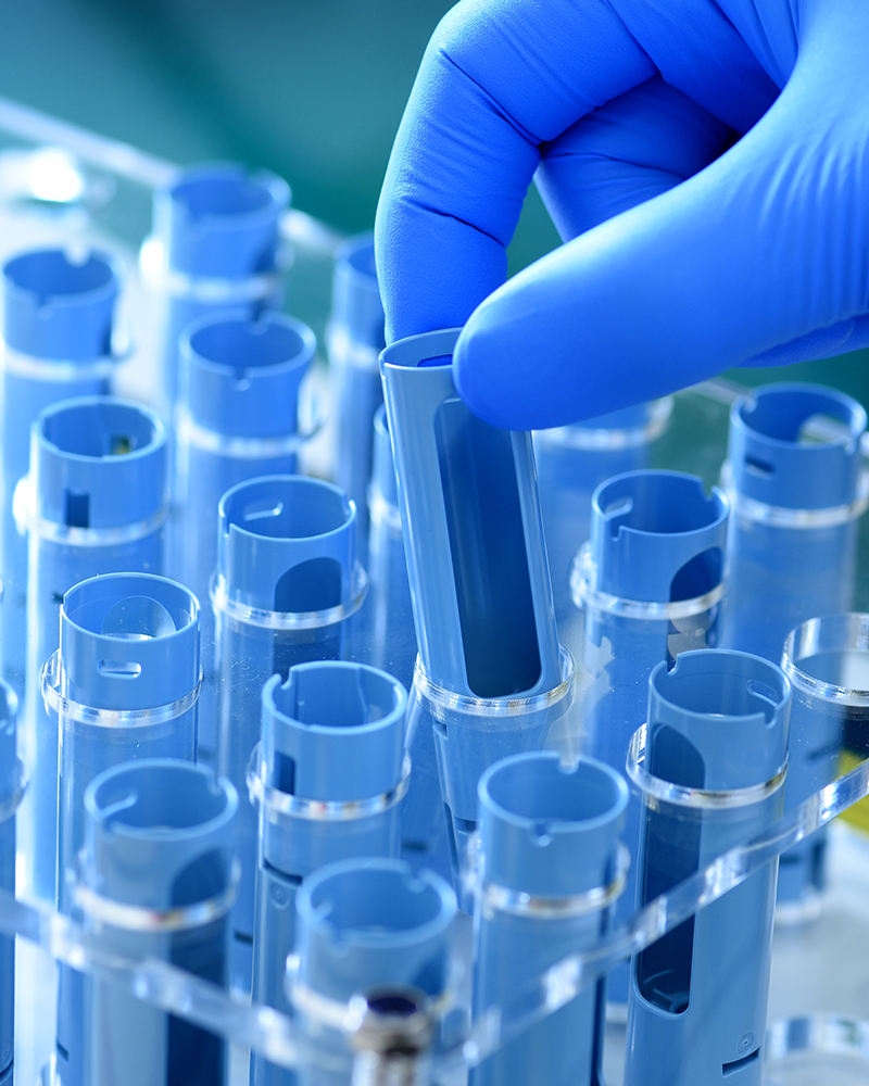 SG-Alina-Manufcturing_1000px-4