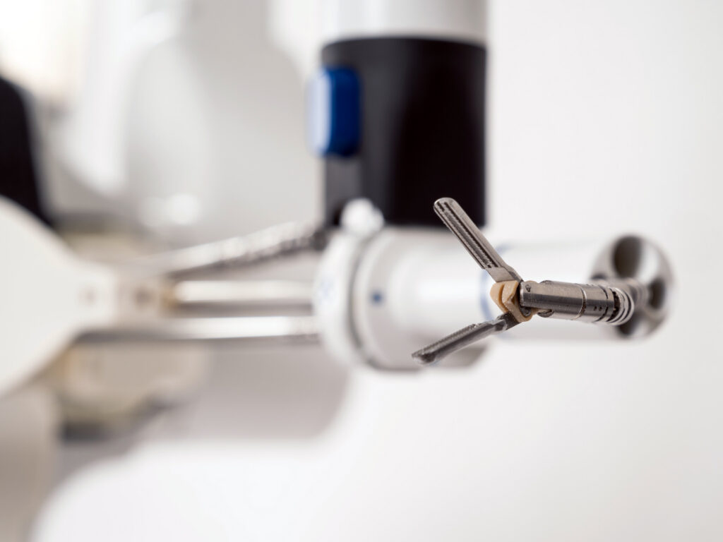 web_body-image_RAS-5