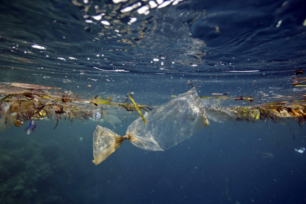 The risks and opportunities of the circular economy