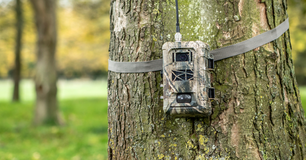 website_cdp-hero_zsl-london-zoo-wildlife-conservation-technology