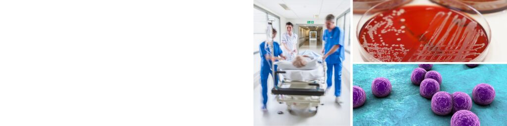 Superbugs: diagnostics fight back