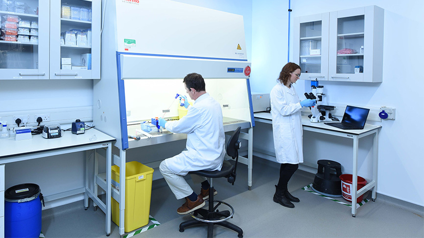 Biolab-SB2_9046-866x487-1