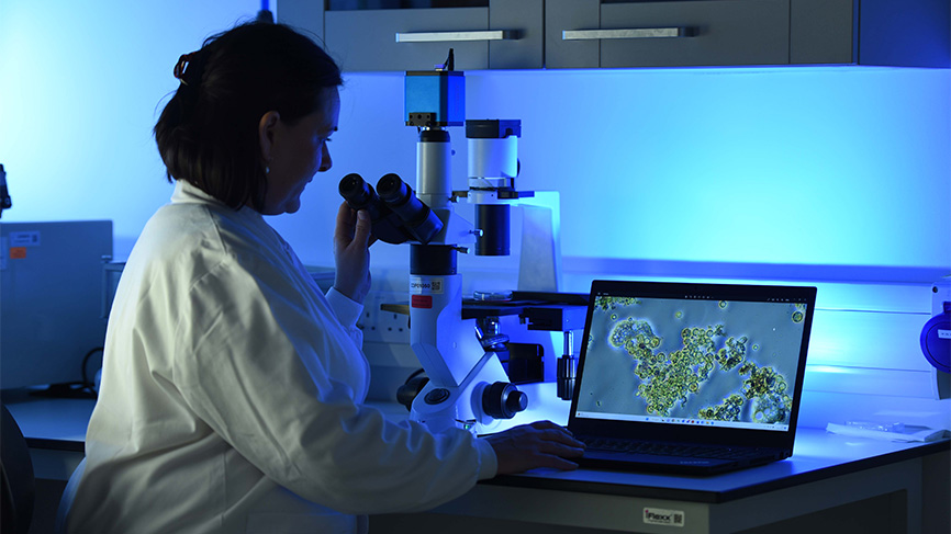 Bioprocessing-SB1_2205-866x487-1