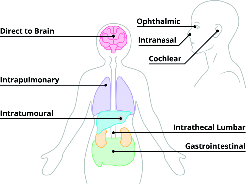 181_2025_Dec_CDP_Fig1
