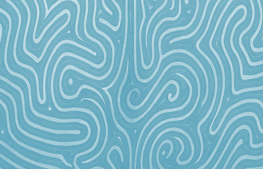 181_2025_Dec_CDP_header