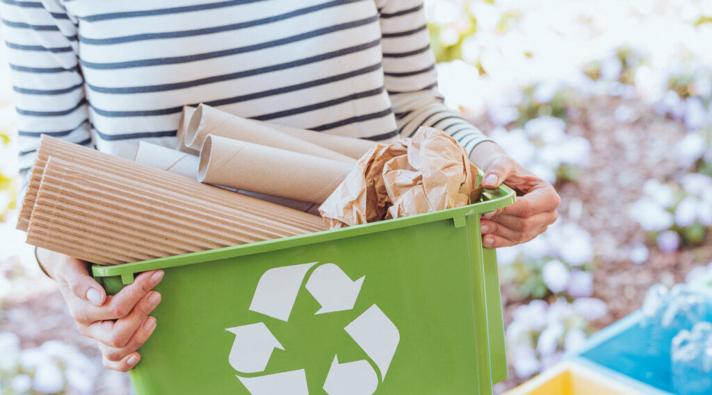 cdp_article_pilot-to-portfolio-circular-packaging